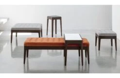 Webby 1 Bench Walnut Var. 30